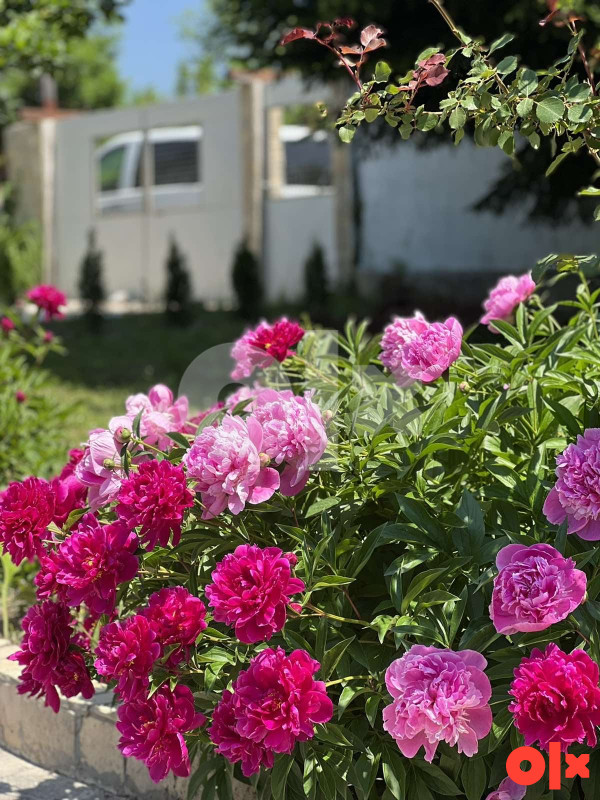 Vila Kuca Ilidza sa bazenom IZDAVANJE rodjendani i ostalo 11