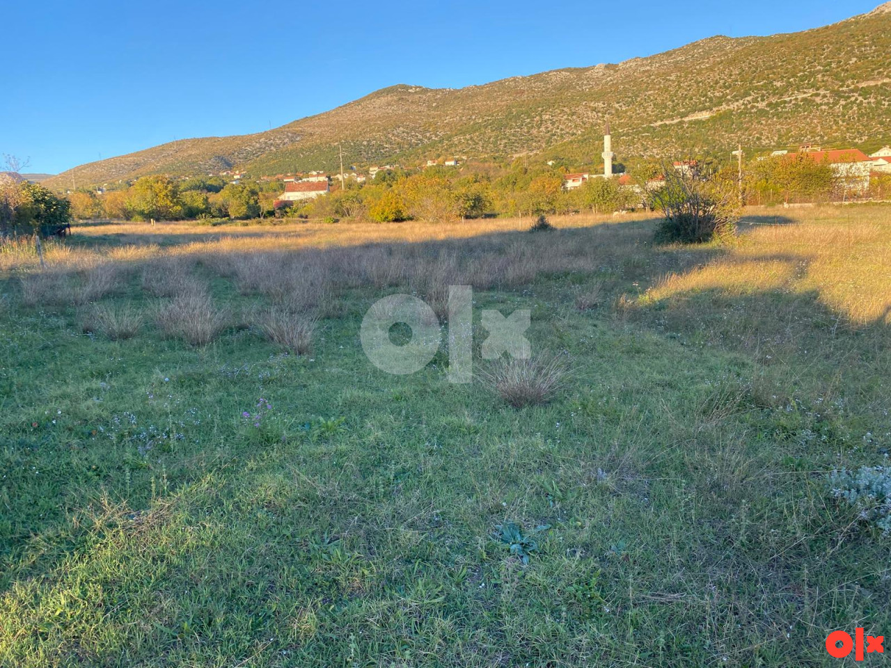 Predivna parcela u Blagaju (Pogradu; 925 m2) 3