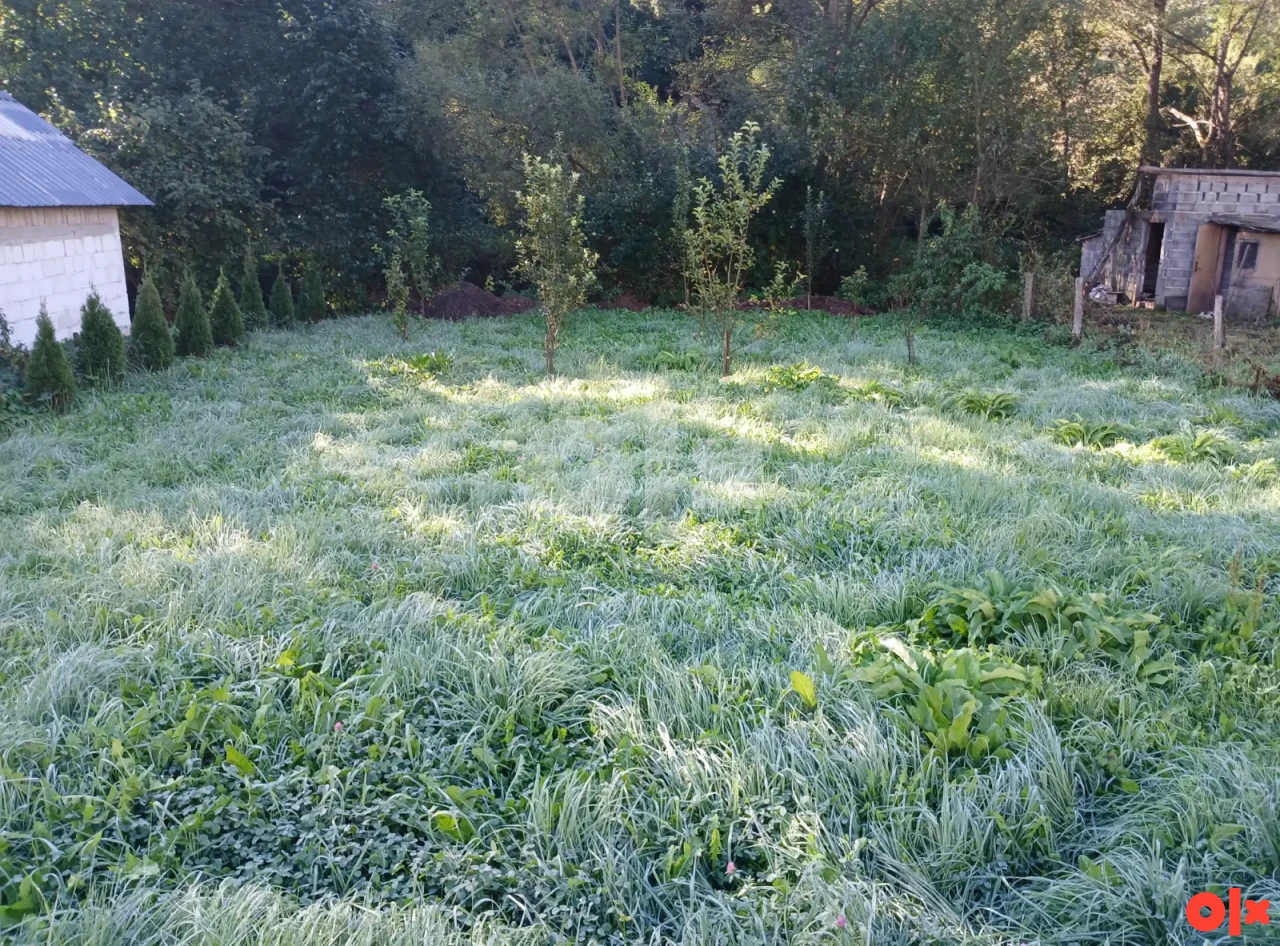 Kuća Trnovo photo 5