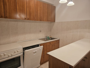 Stan Crna Gora Budva 52 Kvadrata Renoviran photo 5