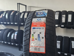 205/55R16 LEAO WINTER DEFENDER HP 205 55 16