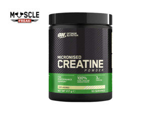 Optimum Nutrition Micronized Creatine Powder 317g