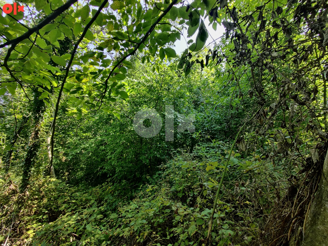 Zemljište Banja Luka 8