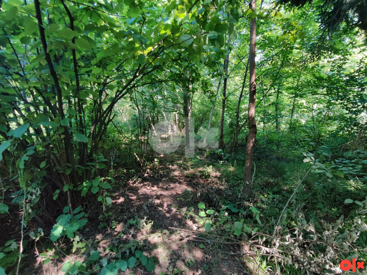 Zemljište Banja Luka, ulica Trla 3