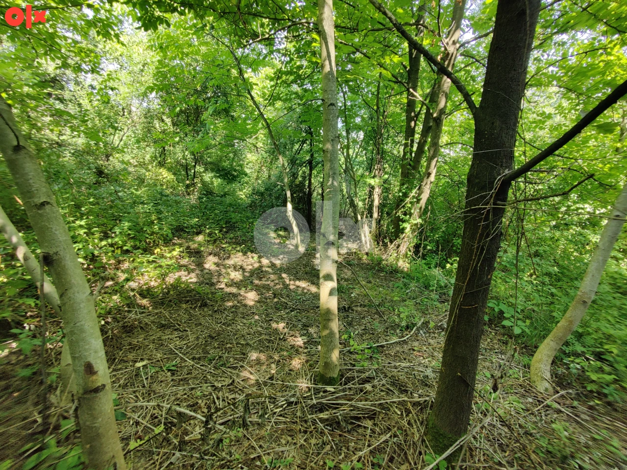 Zemljište Banja Luka, ulica Trla 4