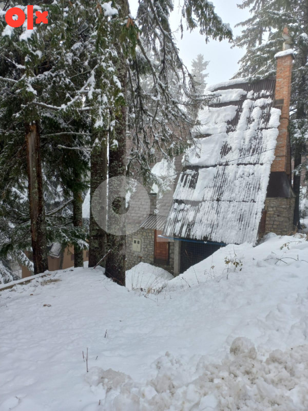 Vikendica Vlasic iznajmljivanje.Dolina panjeva. 17