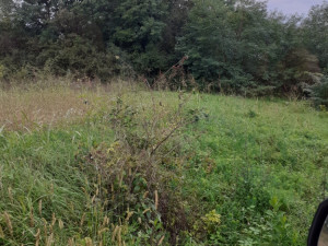 Zemljište Prijecani-Trn