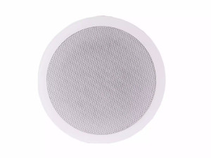 INSTALACIJSKI ZVUČNICI: MARTIN WISMAN TZT 815