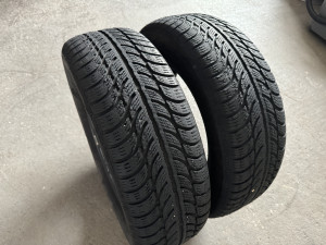 Gume Zimske Sava 195/65/R15 Eskimo S3 195 65 15