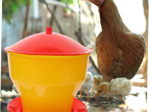 Hranilica pvc za perad 6L Polutry Plus