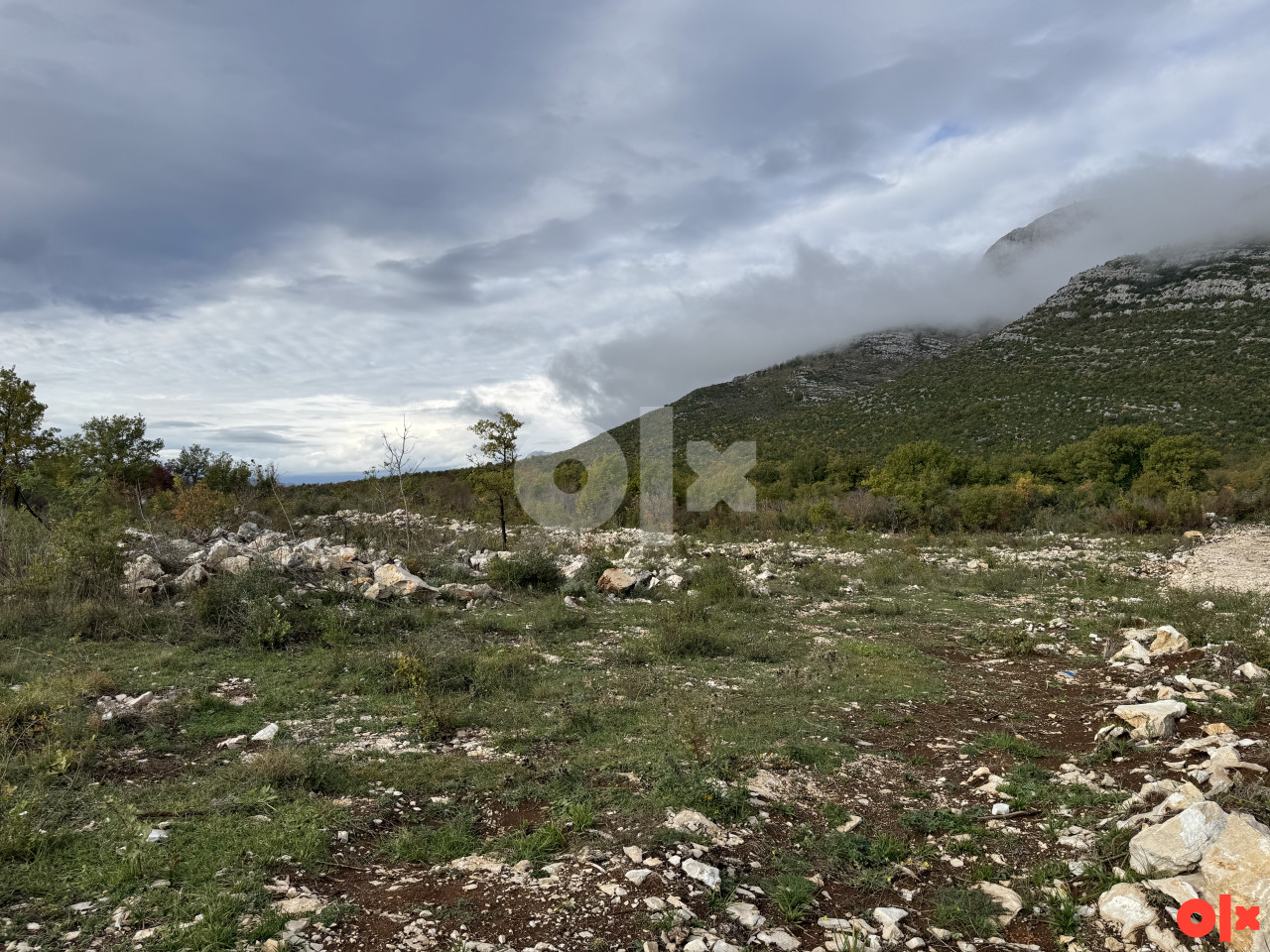 Zemljište Trebinje 6000 m2 5
