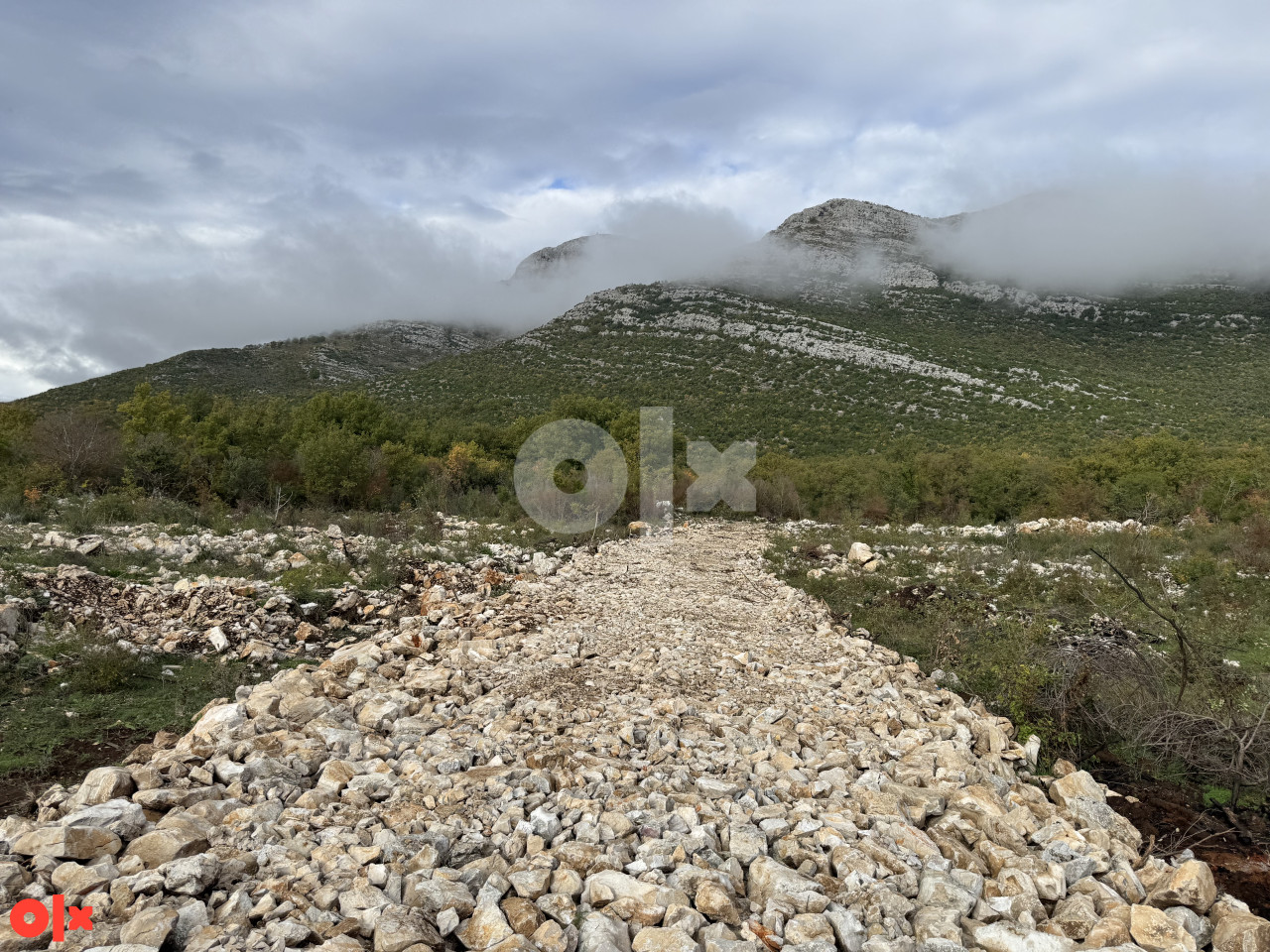Zemljište Trebinje 6000 m2 6