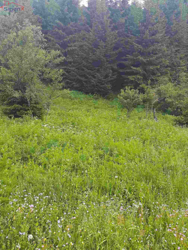 Zemljište Ilijaš/Bijambare/13 KM/m2-39.800 3