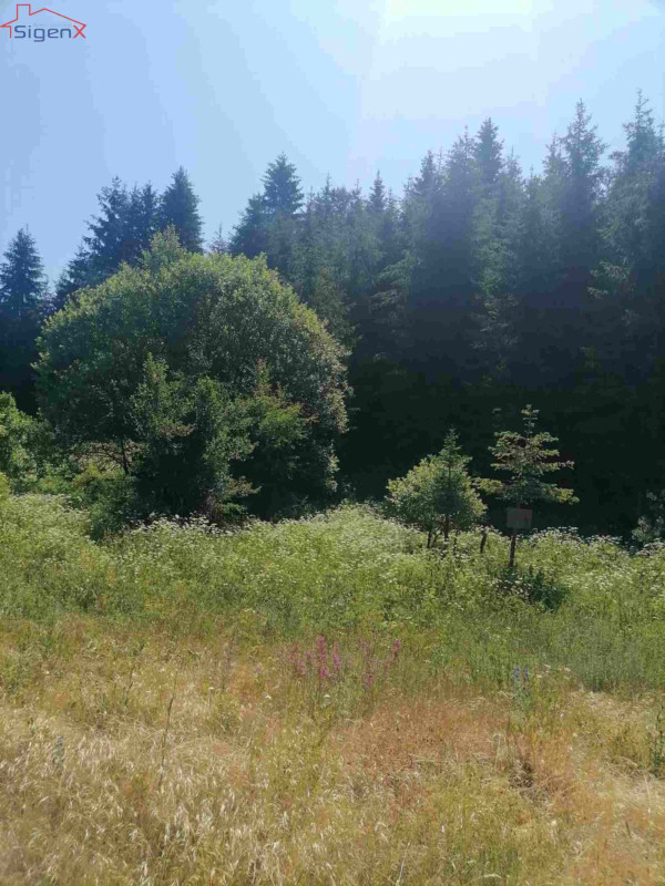 Zemljište Ilijaš/Bijambare/13 KM/m2-39.800 6
