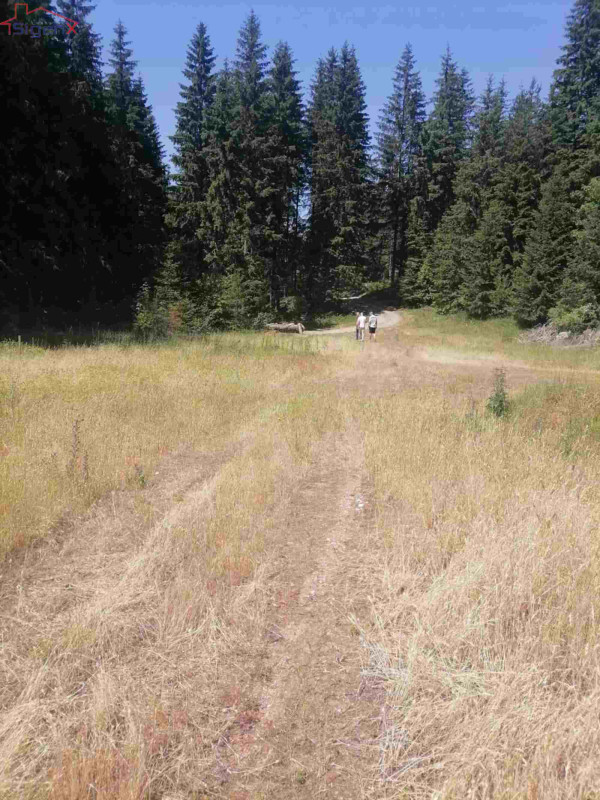 Zemljište Ilijaš/Bijambare/13 KM/m2-39.800 8