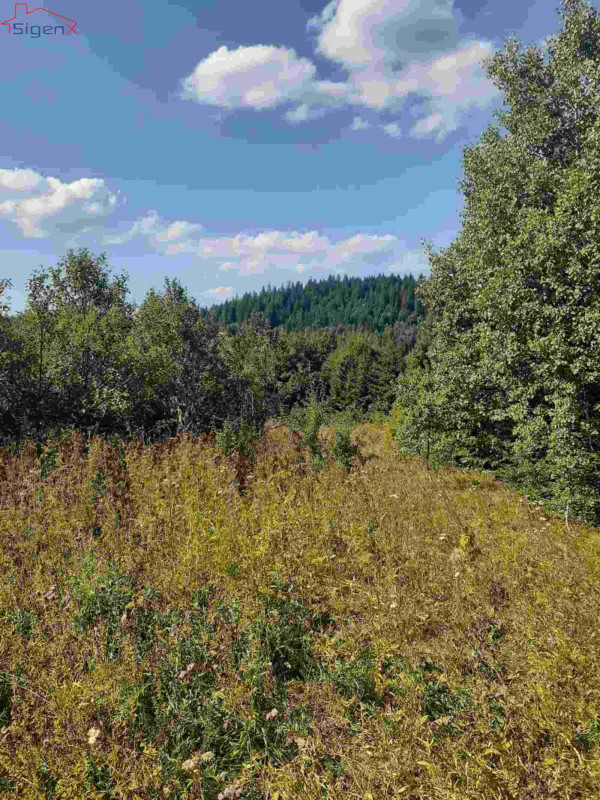 Zemljište Ilijaš/Bijambare/13 KM/m2-39.800