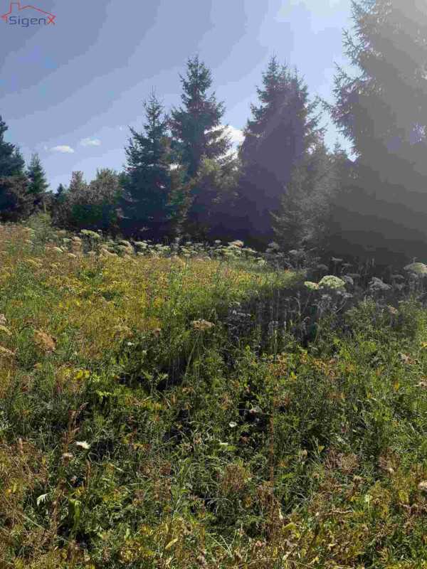 Zemljište Ilijaš/Bijambare/13 KM/m2-39.800 2