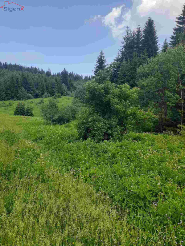 Zemljište Ilijaš/Bijambare/13 KM/m2-39.800 10