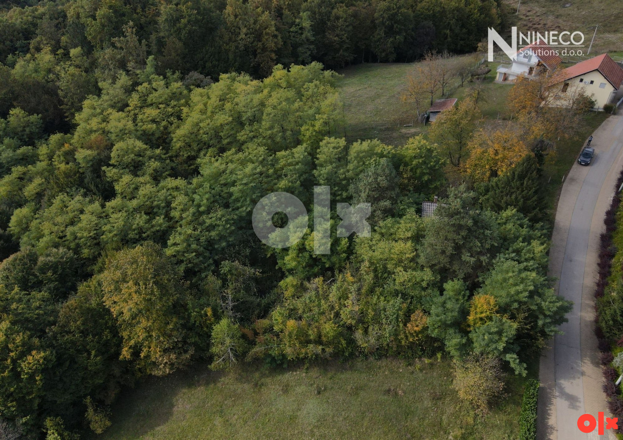 ZEMLJIŠTE I VIKENDICA - BOŠKOVIĆI - 6.690 m2 3