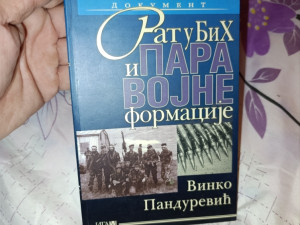 Paravojne formacije u BiH Vinko Pandurevic (oss)