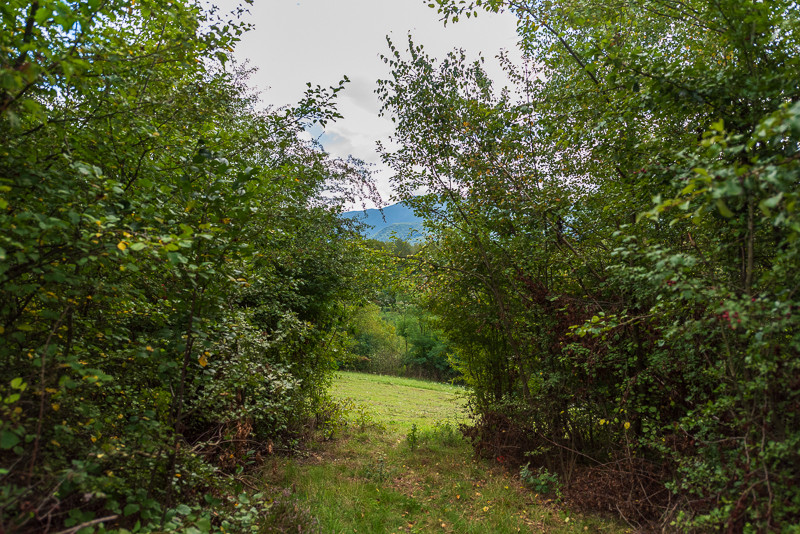 Zemljište Hadžići - Resnik - 3320m2