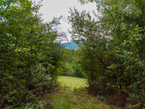 Zemljište Hadžići-Resnik - 3320m2