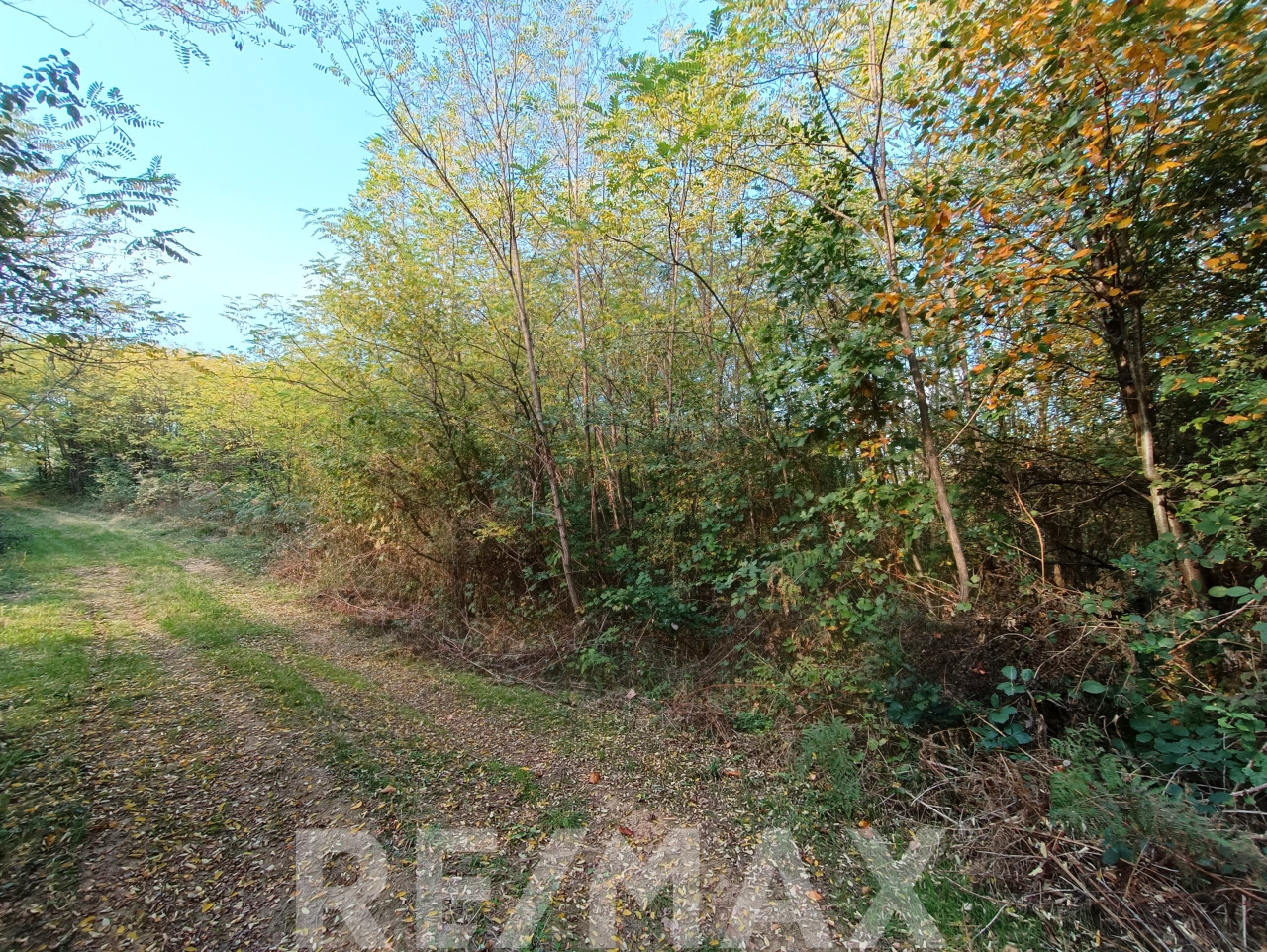 Zemljište 13176 m2 u Glamočanima- oaza mira u srcu prirode 8