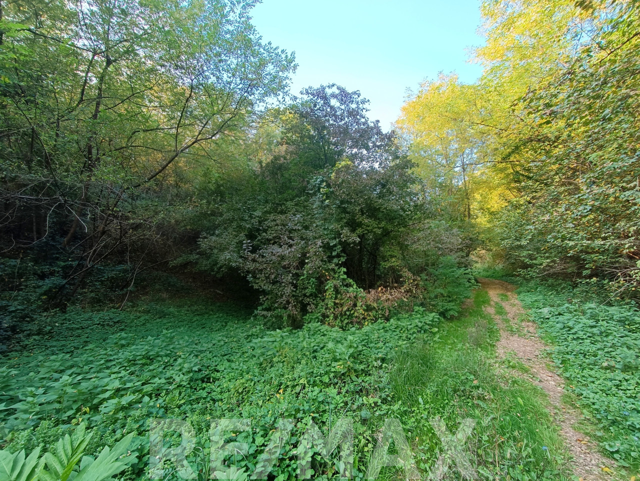 Zemljište 13176 m2 u Glamočanima- oaza mira u srcu prirode 11