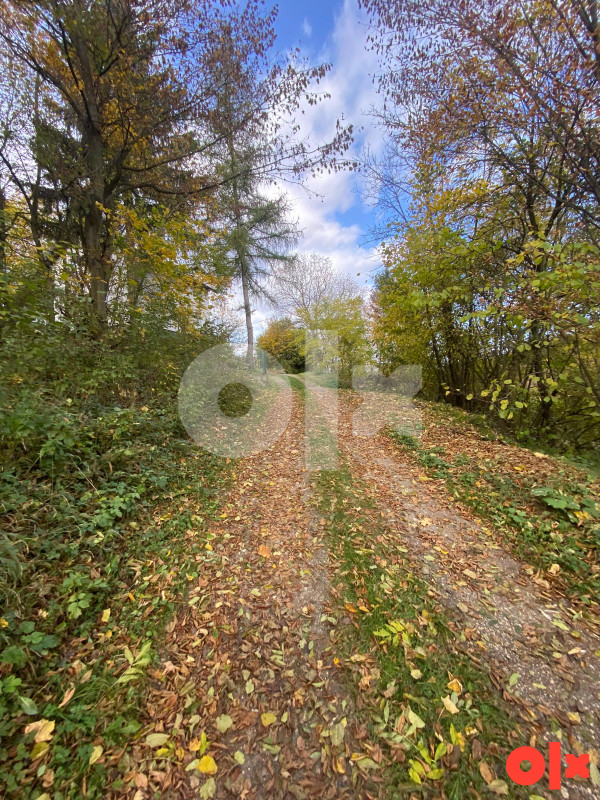 Građevinsko zemljište 8210m2 - Donja Bioča - Ilijaš 19