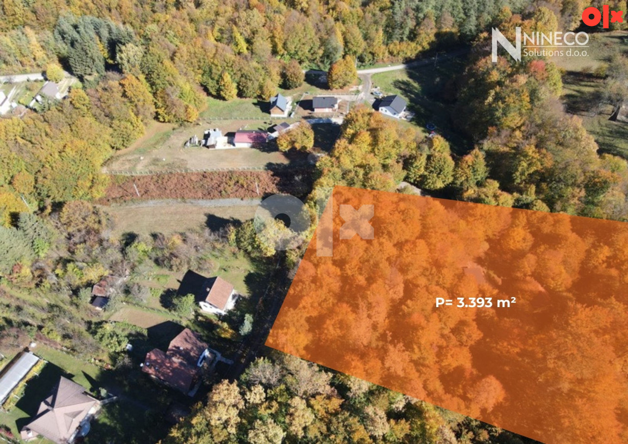 ZEMLJIŠTE SA ŠUMOM - SLATINA - 3.393 m2 4