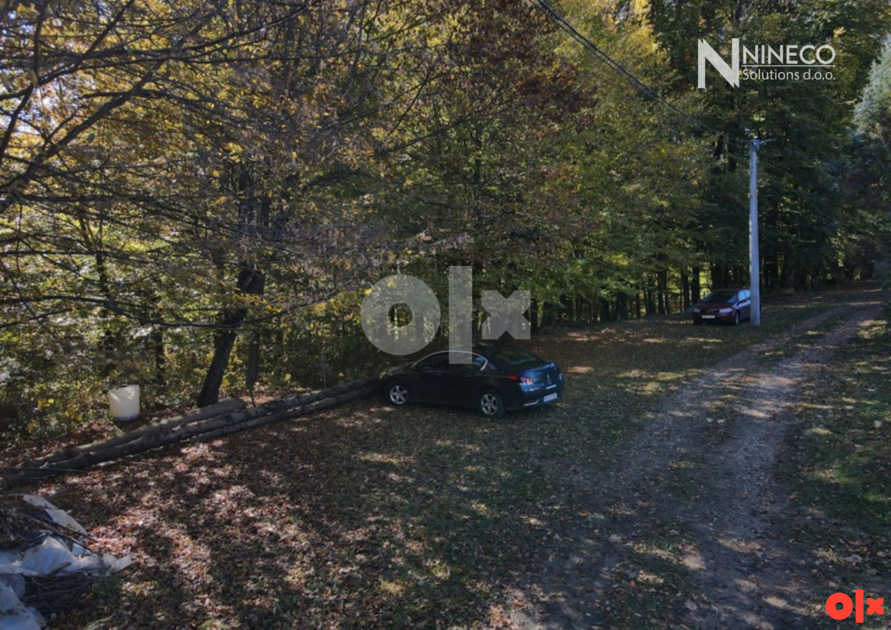 ZEMLJIŠTE SA ŠUMOM - SLATINA - 3.393 m2 8