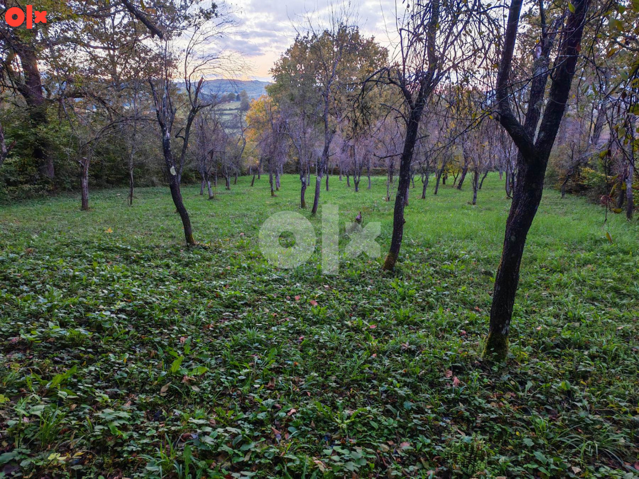Zemljište Banja Luka 36000m2 3