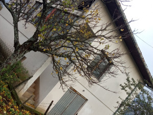 Kuća Konjic
