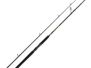 Štap Penn Wrath II Spin 1002 60-120g