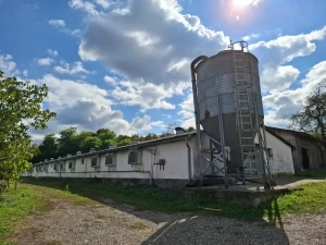 EOS / NAJAM / Objekat za tov pilića / Srbac