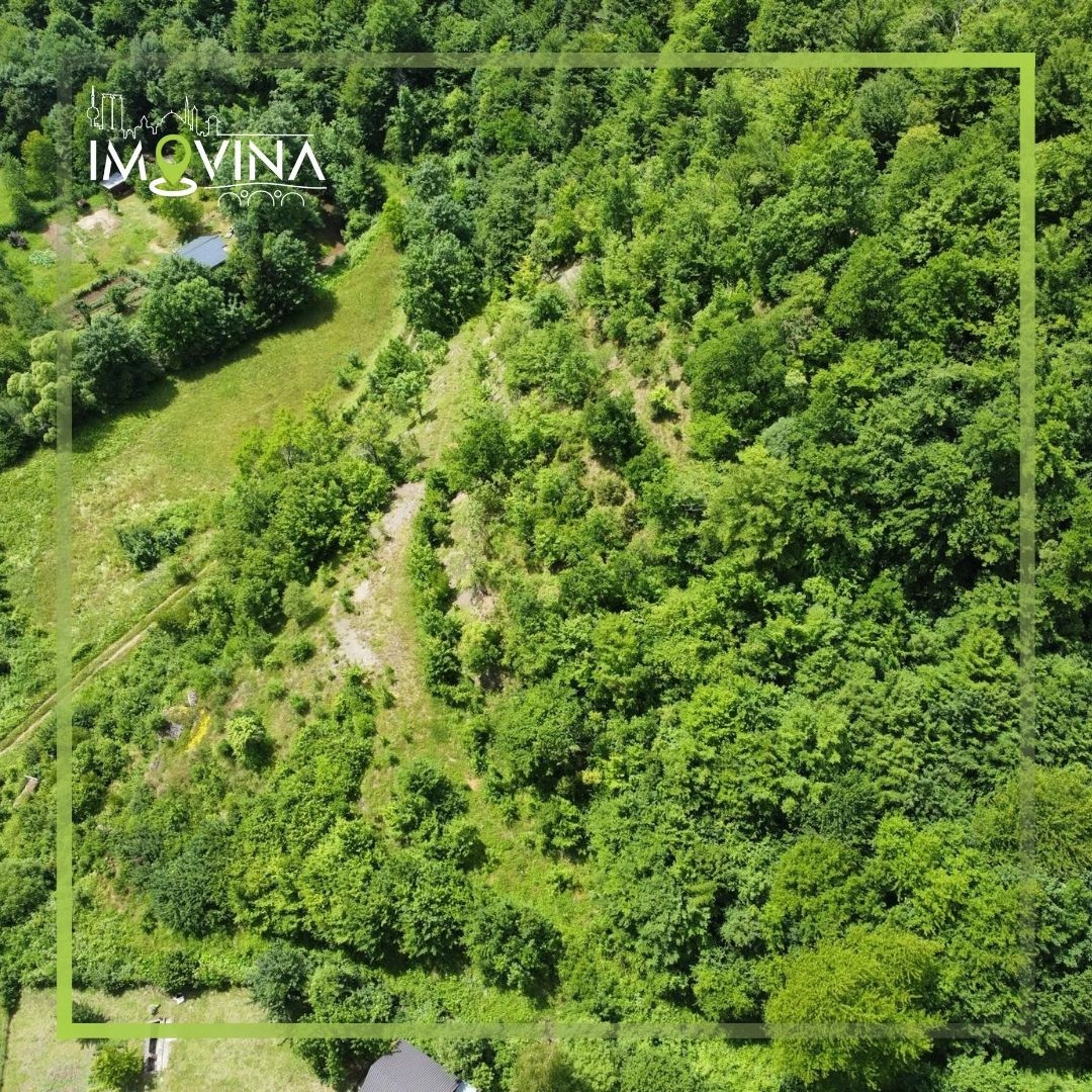 100915 Zemljišna parcela 100.000 m2, Ljubina - Srednje 3