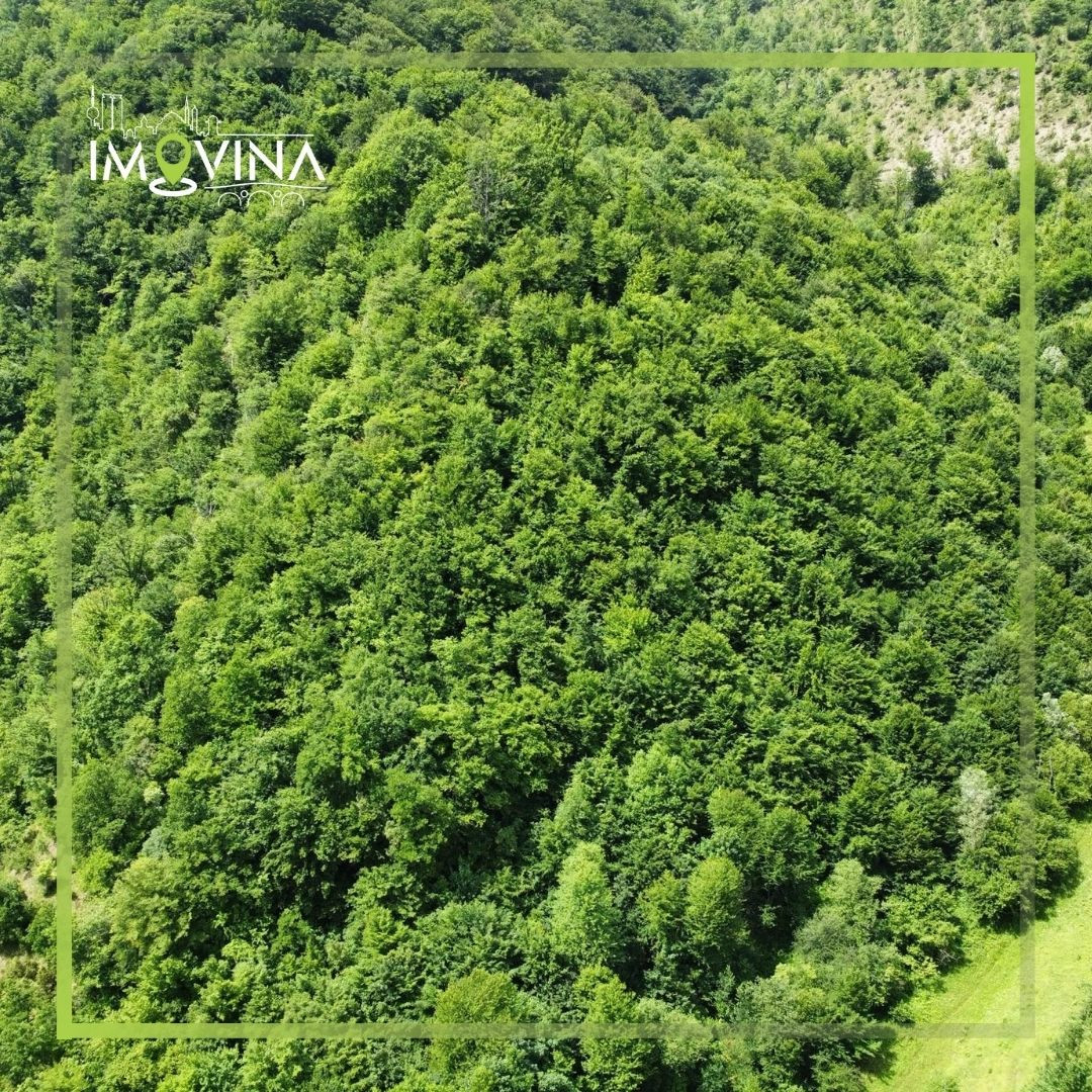 100915 Zemljišna parcela 100.000 m2, Ljubina - Srednje 6
