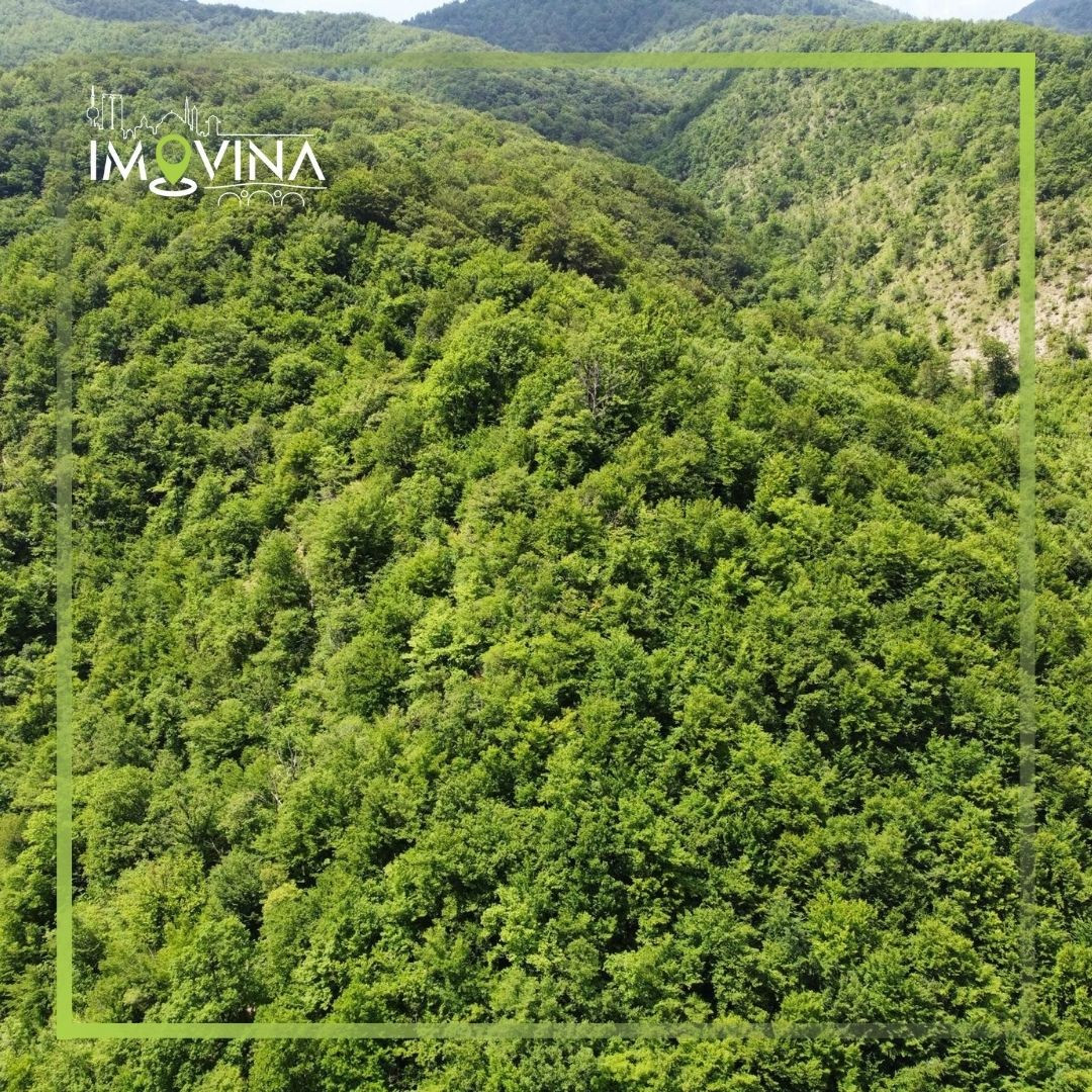 100915 Zemljišna parcela 100.000 m2, Ljubina - Srednje 9