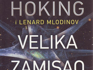 Stiven Hoking, Lenard Mlodinov - Velika zamisao