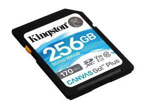 Memorijska SD kartica 256GB Canvas GO Plus Kingston