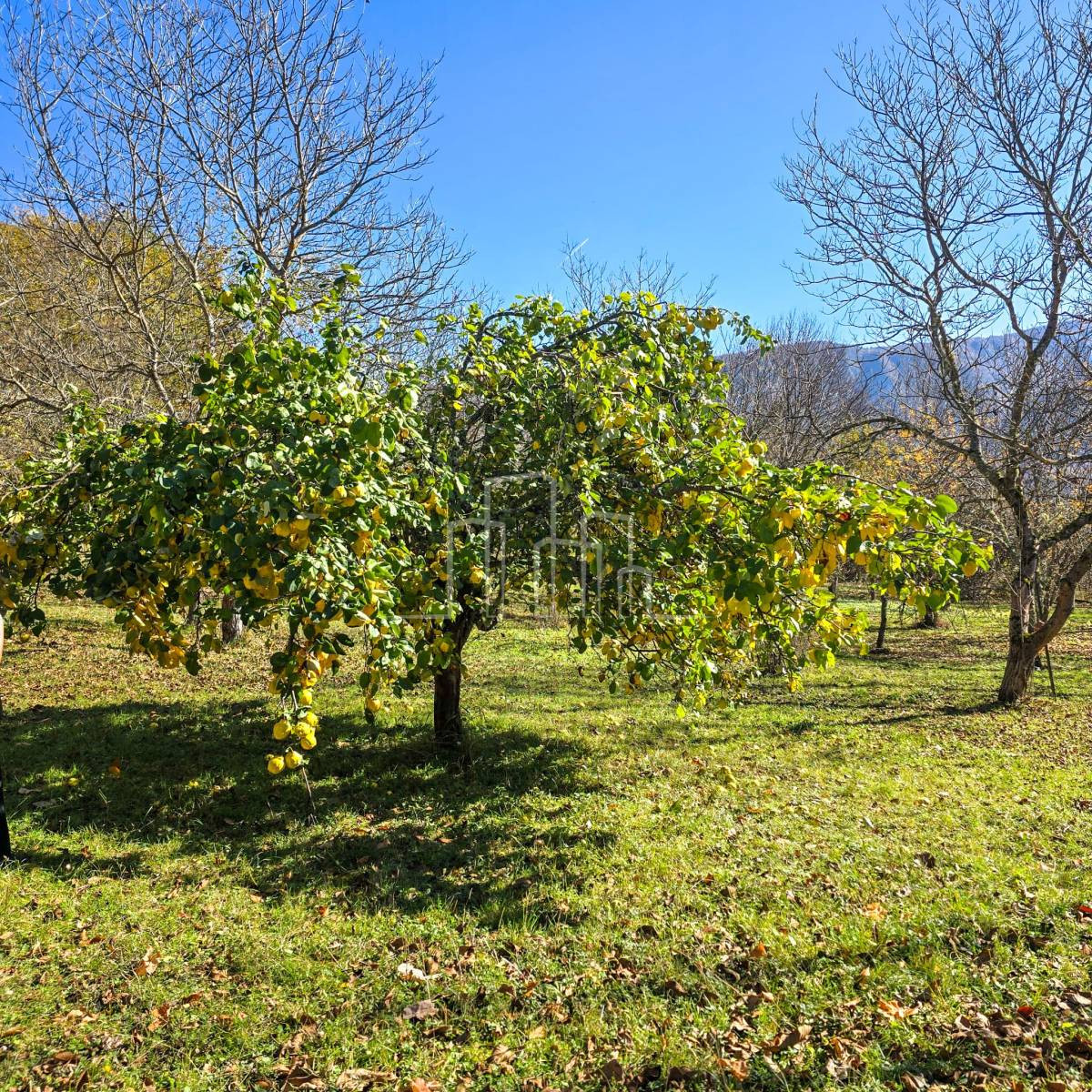 Vikendica 95m2 sa 7550m2 Zemljišta Hrenovica 27