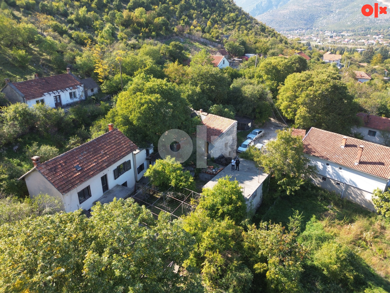 Kuce vrapčići
