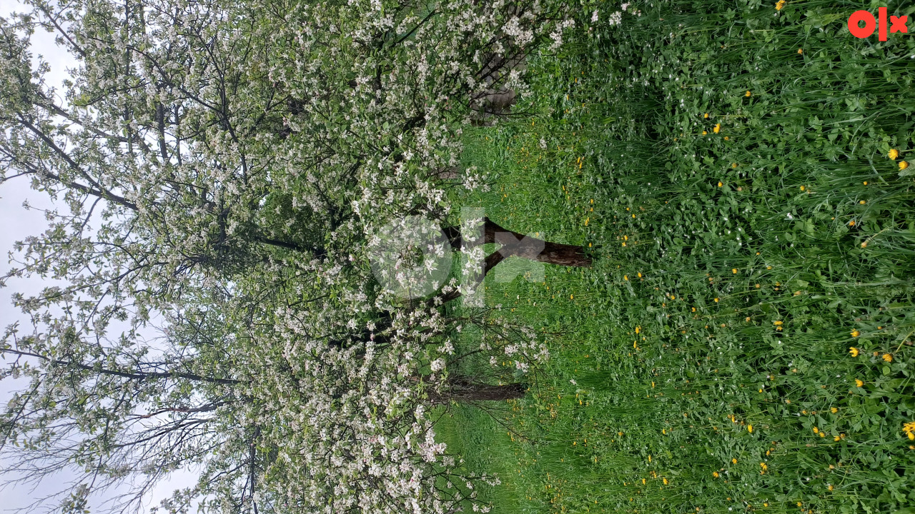 Kuća Ilijaš Vlaškovo photo 5