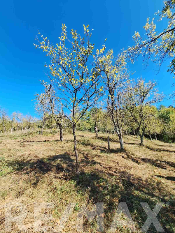 Bistrica prodaja zemljišta - Banja Luka 2750m2 5