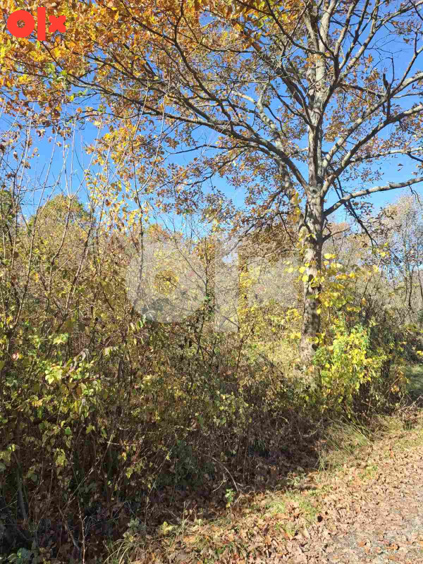 Zemljište Gradiška - Dragelji 4461m2 8