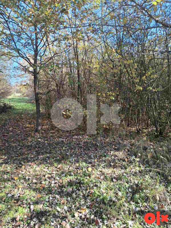 Zemljište Gradiška - Dragelji 4461m2 9