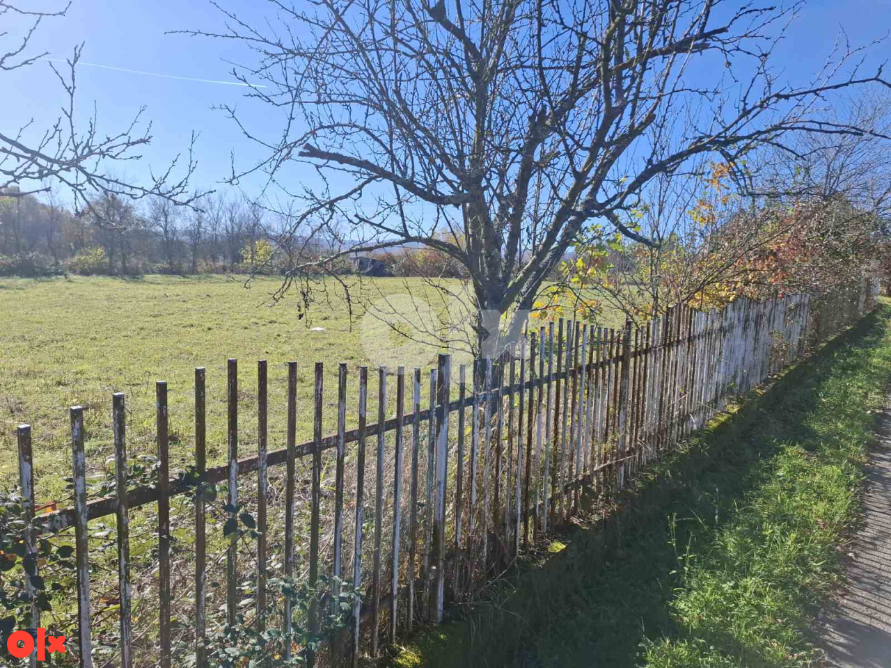 Zemljište Gradiška - Dragelji 4461m2 3