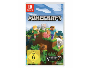 Minecraft  Nintendo Switch