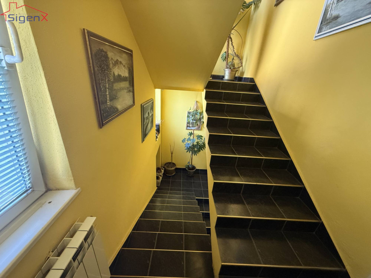 Kuća na tri sprata sa garažom i poslovnim prostorom 4