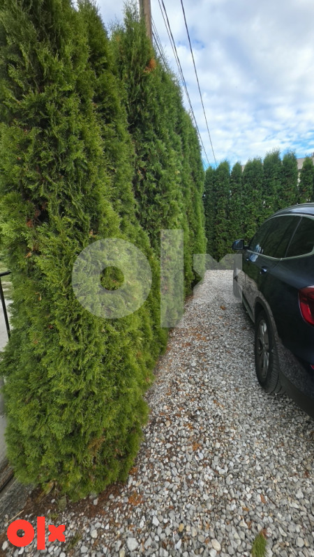 Kuća Ilidža, Butmir porodična vila 430m2 sa placem 1070m2 2